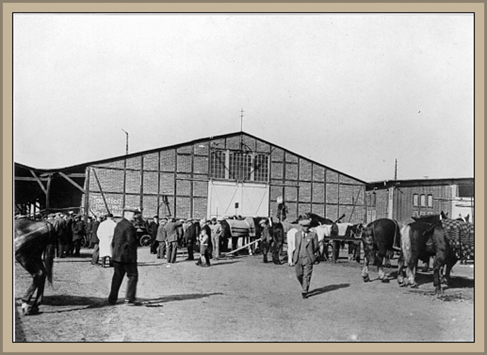 01_Der Pferdemarkt
