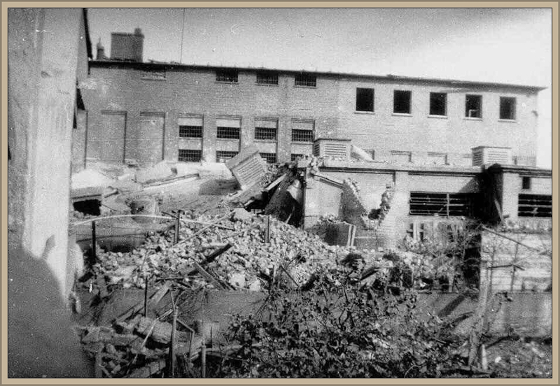 05_Ganz links unsere Hausecke vom Garten aus Der Truemmerberg war der schoene Laden